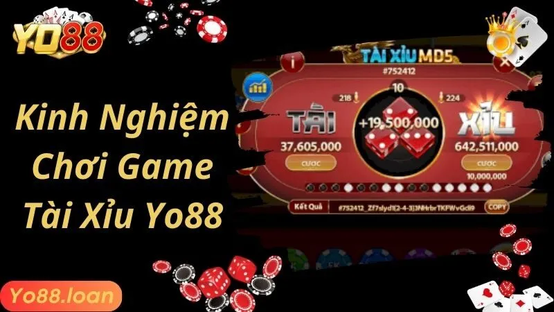 Cách chơi tài xỉu Yo88 và kinh nghiệm quý báu